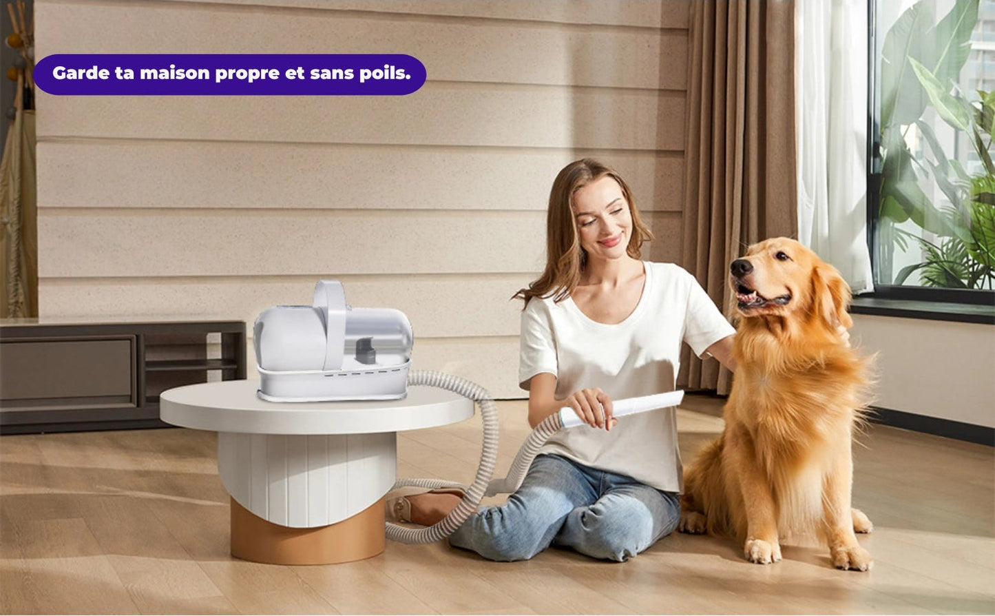 Séchoir pulseur pour chien - Toilettage Complet