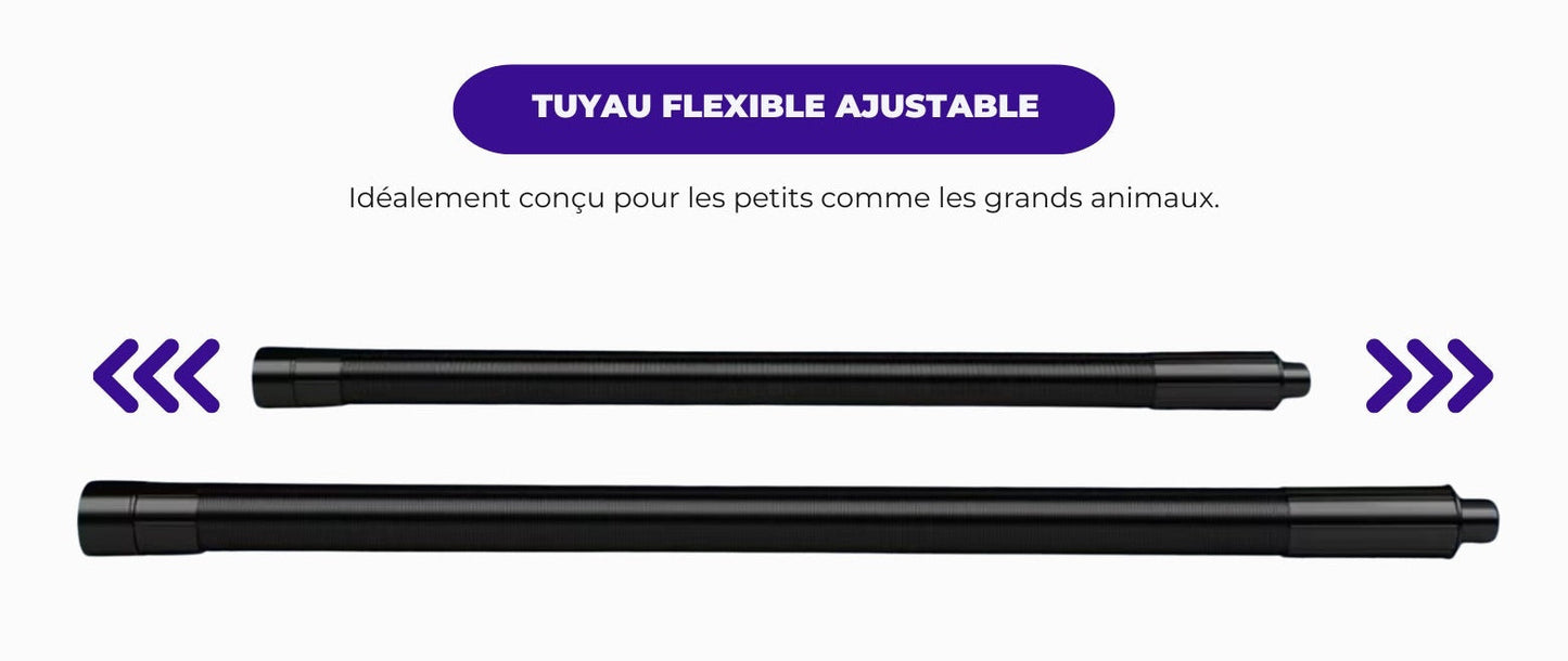 Pulseur chien professionnel - air Chaud