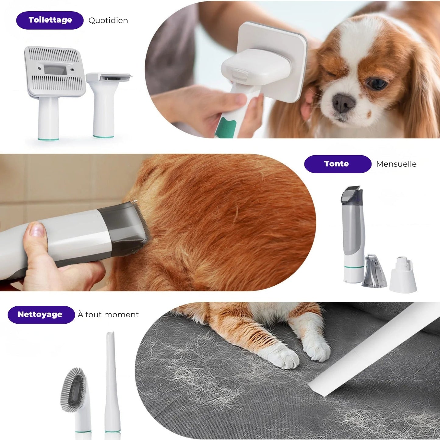 Séchoir pulseur pour chien - Toilettage Complet