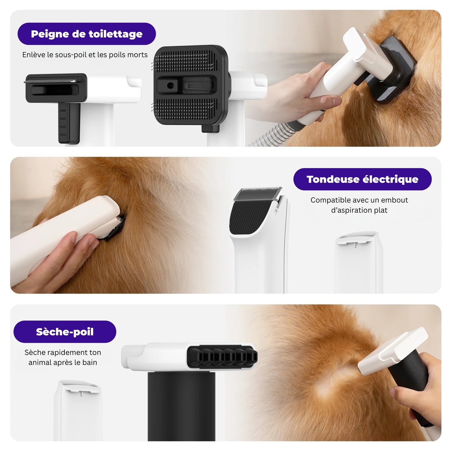 Pulseur pour chien - Kit Complet