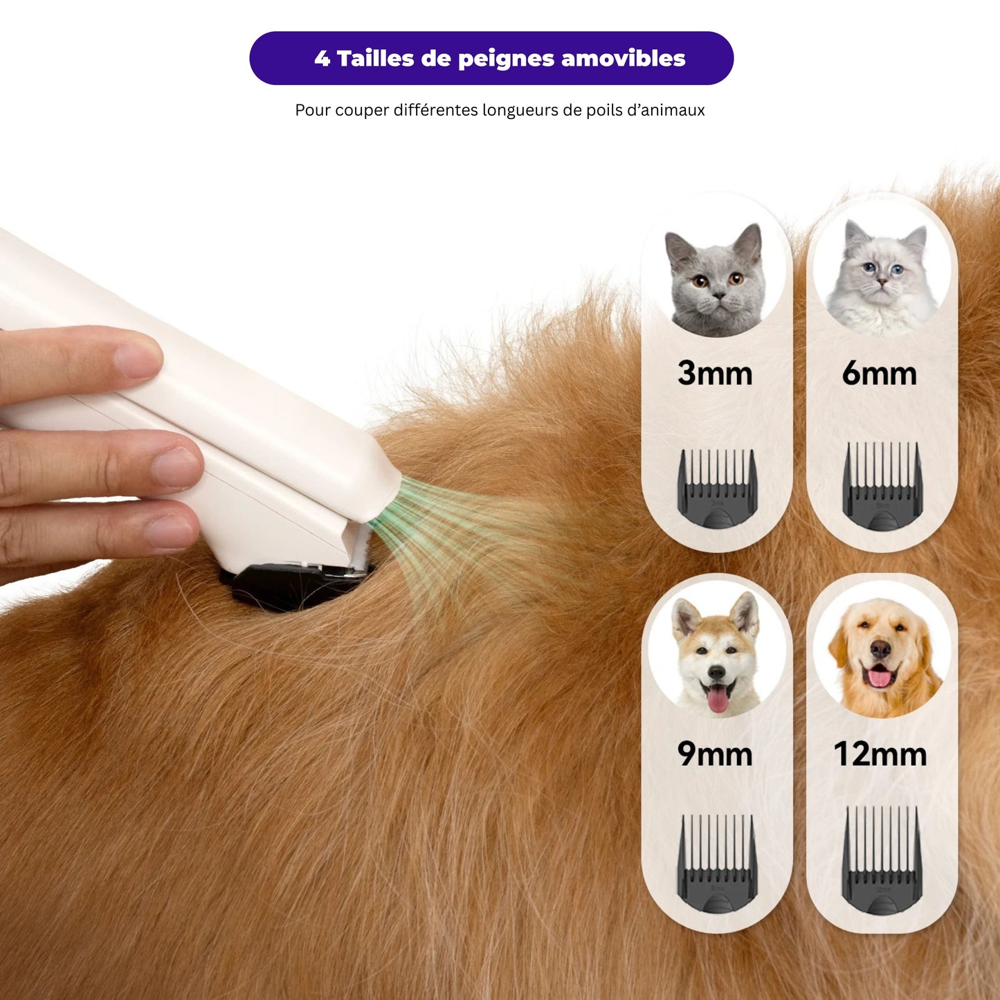 Pulseur pour chien - Kit Complet