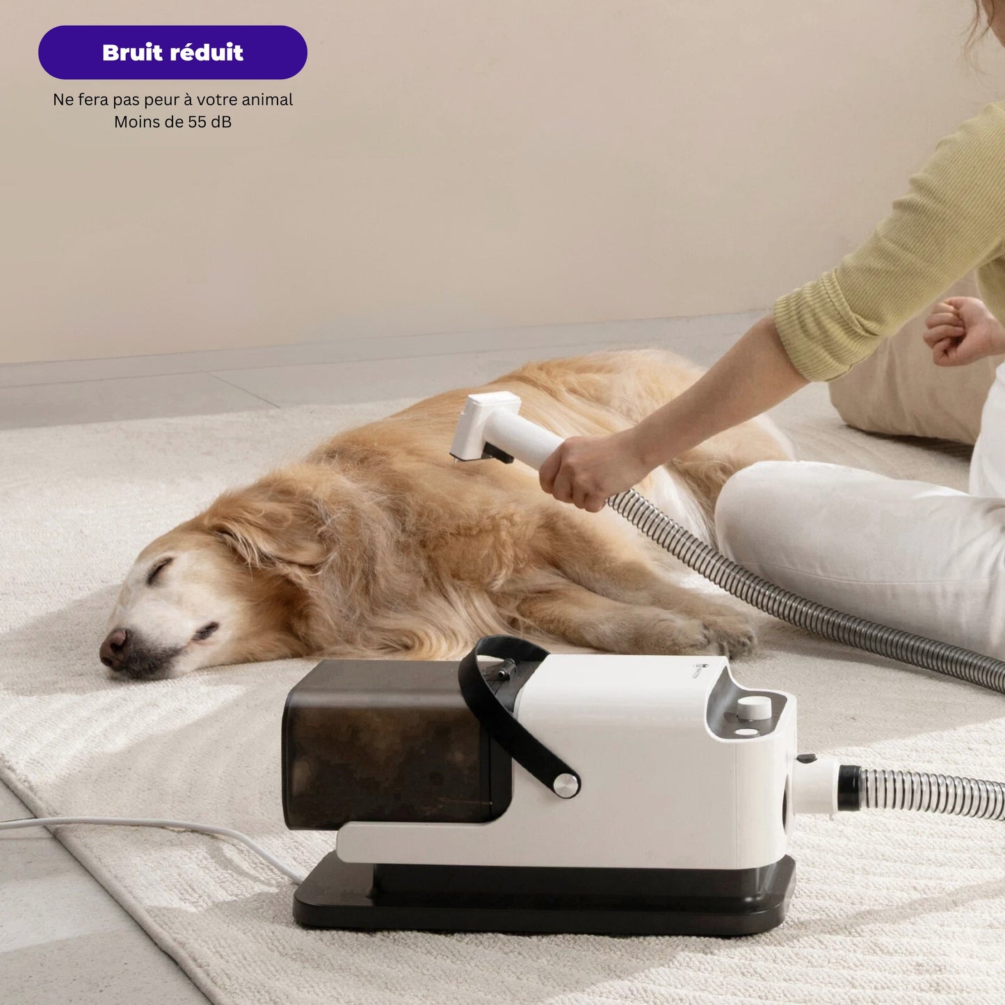 Pulseur pour chien - Kit Complet